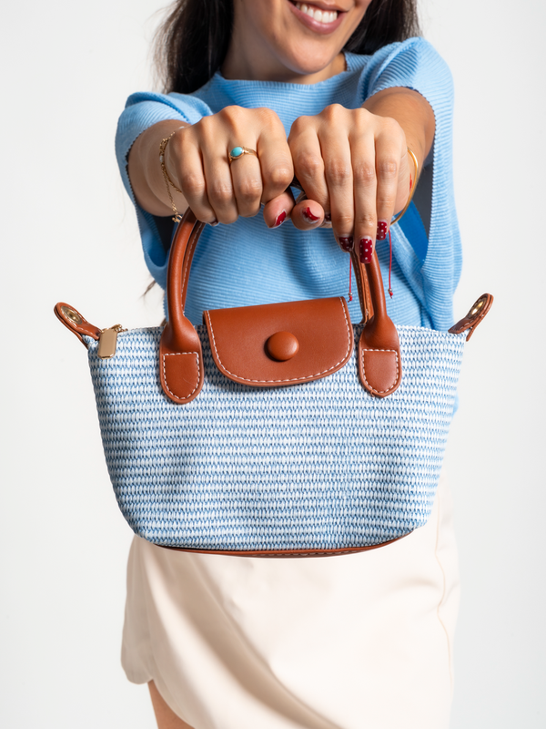CARTERA VIOLETA - CELESTE - Secondary