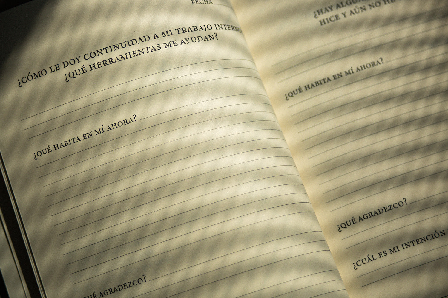 JOURNAL SERENAMENTE - VERDE - Gallery 5